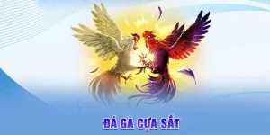 đá gà cựa sắt