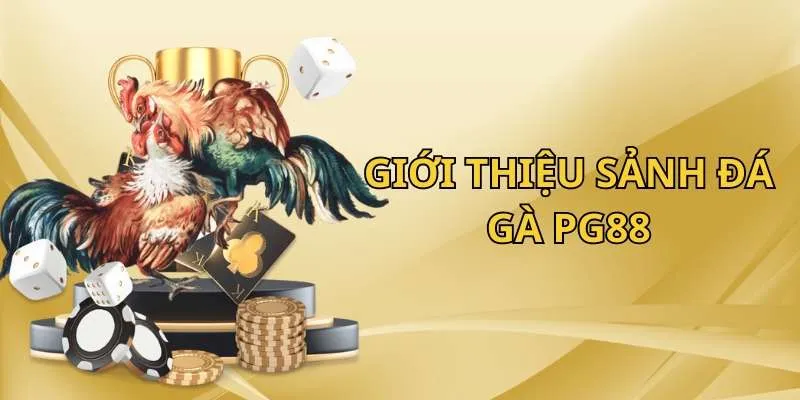 Những thông tin cần nắm khi trải nghiệm sảnh đá gà PG88