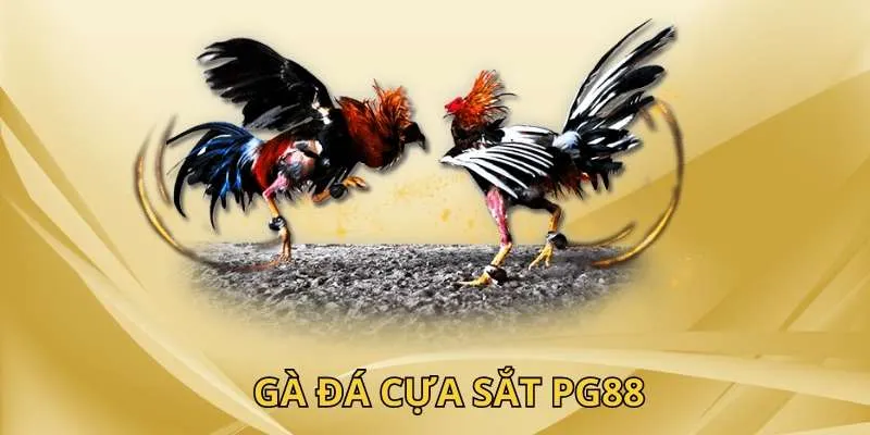 Đá gà cựa sắt PG88