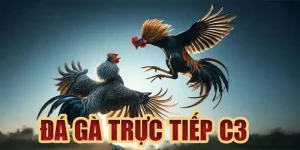 đá gà trực tiếp C3